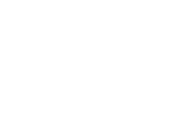 LOISTO LOGO Footer